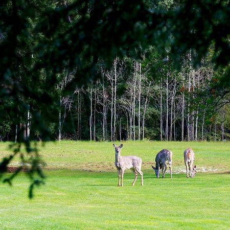 Sleepy Creek Country Manor Bed and Breakfast Bragg Creek Exterior foto
